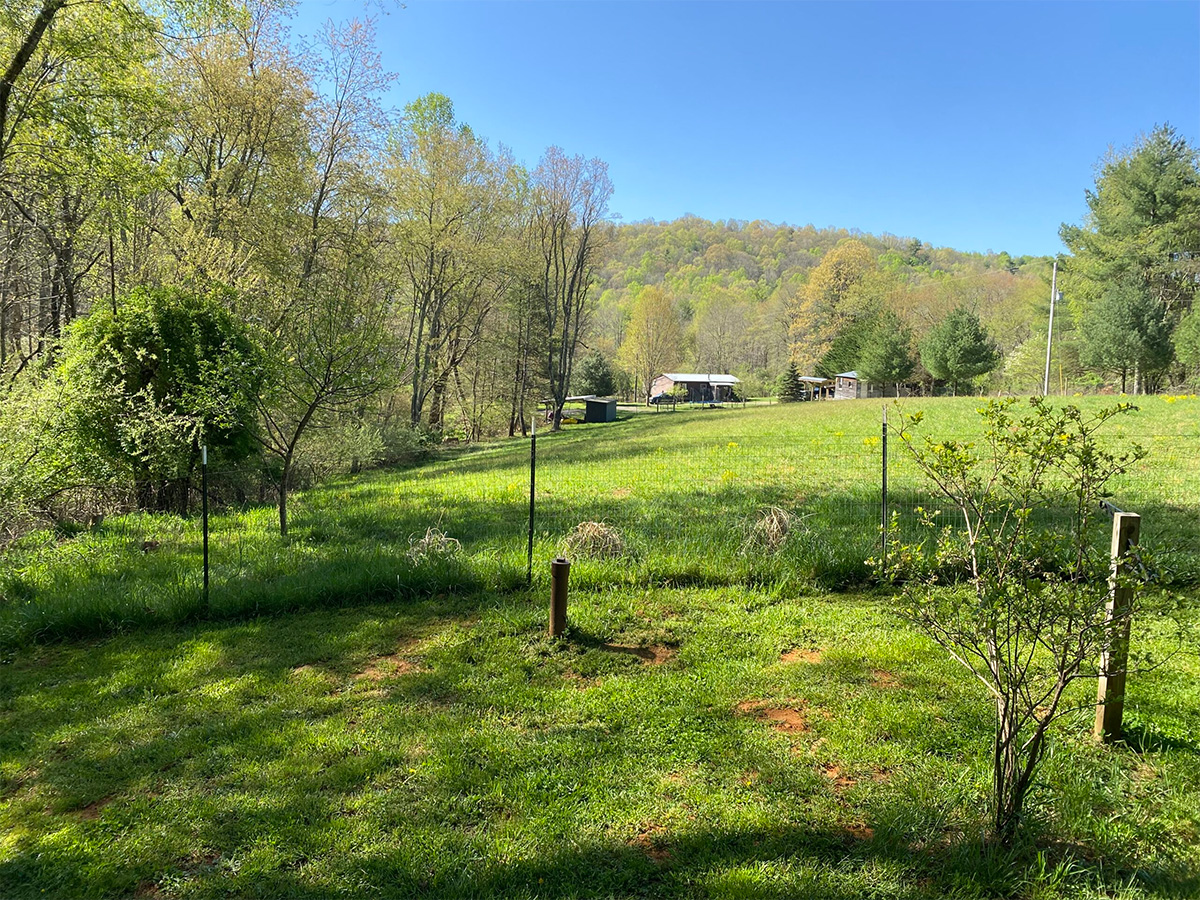 Cabin rental at TreeStone Village